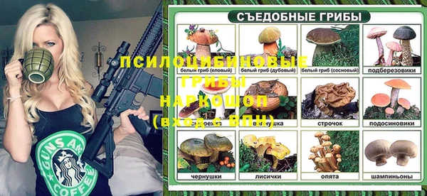 дживик Арсеньев