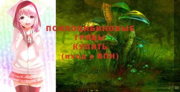 дживик Арсеньев
